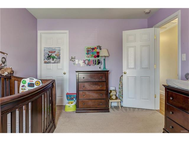 239 Spring Borough Dr, O'fallon, MO 63368 photo 29
