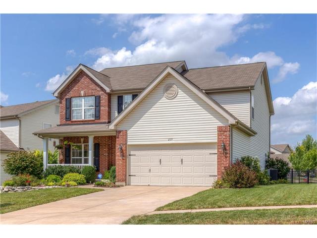239 Spring Borough Dr, O'fallon, MO 63368 photo 42