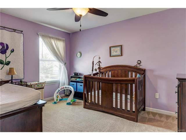 239 Spring Borough Dr, O'fallon, MO 63368 photo 28