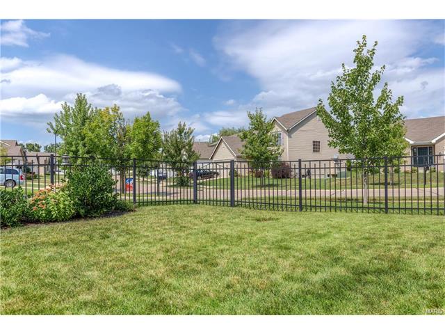 239 Spring Borough Dr, O'fallon, MO 63368 photo 40
