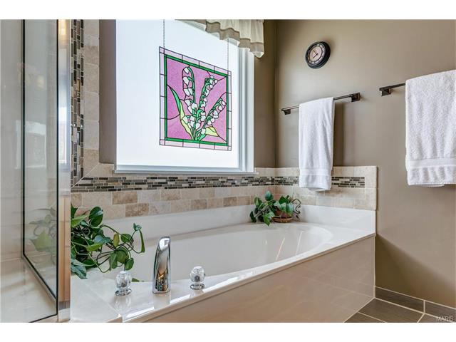 239 Spring Borough Dr, O'fallon, MO 63368 photo 24