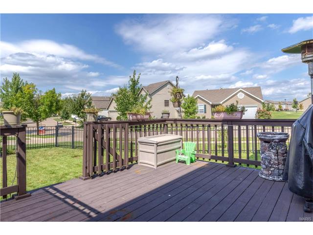 239 Spring Borough Dr, O'fallon, MO 63368 photo 38