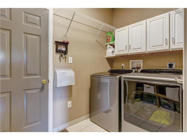 239 Spring Borough Dr, O'fallon, MO 63368 photo 19