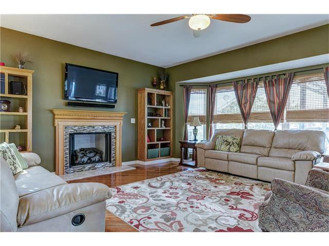 239 Spring Borough Dr, O'fallon, MO 63368 photo 9