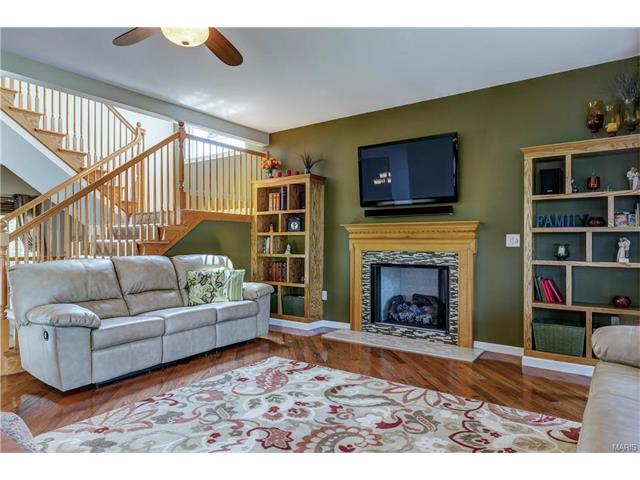 239 Spring Borough Dr, O'fallon, MO 63368 photo 10
