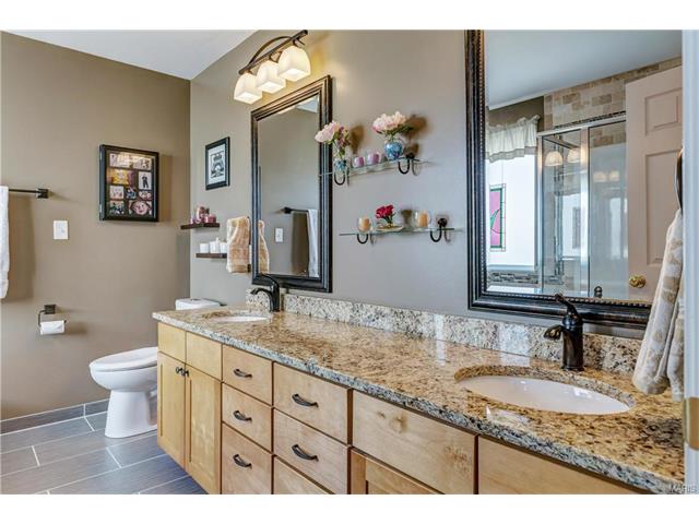 239 Spring Borough Dr, O'fallon, MO 63368 photo 23