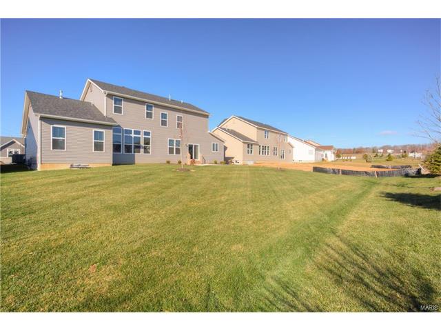 794 Wilbie Ct, O'fallon, MO 63368 photo 49