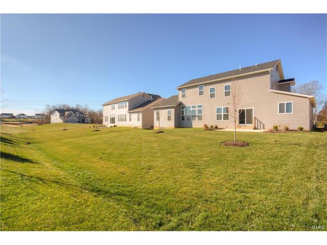 794 Wilbie Ct, O'fallon, MO 63368 photo 47