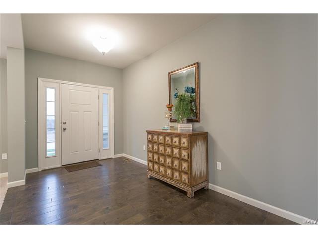 792 Wilbie Ct, O'fallon, MO 63368 photo 32