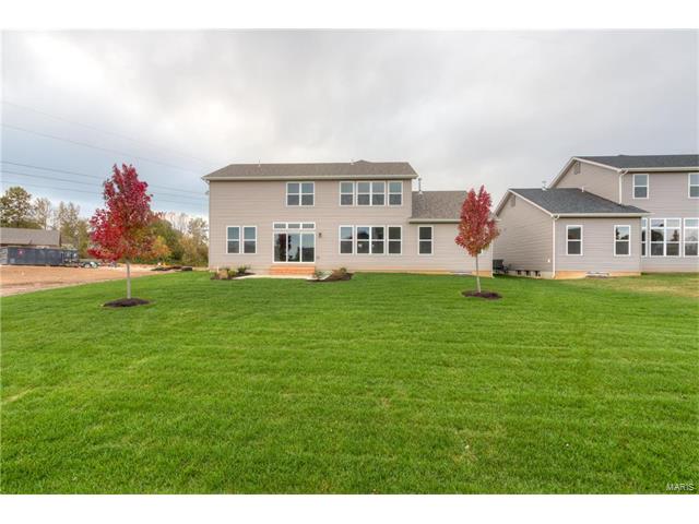 792 Wilbie Ct, O'fallon, MO 63368 photo 45