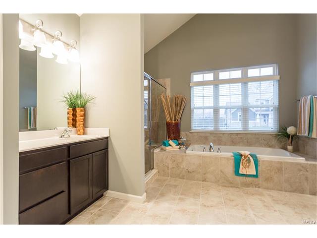 792 Wilbie Ct, O'fallon, MO 63368 photo 27
