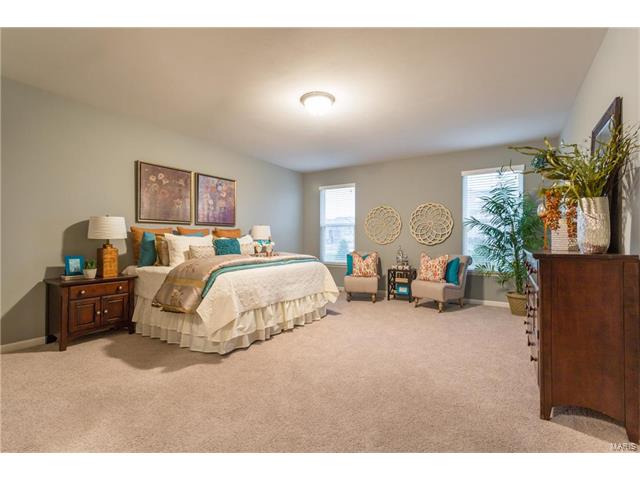 792 Wilbie Ct, O'fallon, MO 63368 photo 23
