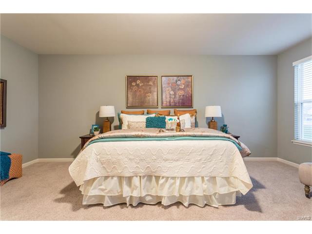 792 Wilbie Ct, O'fallon, MO 63368 photo 24