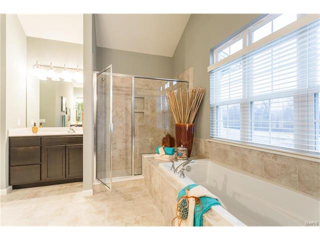 792 Wilbie Ct, O'fallon, MO 63368 photo 28