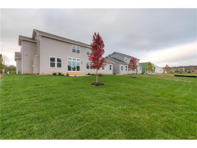 792 Wilbie Ct, O'fallon, MO 63368 photo 46