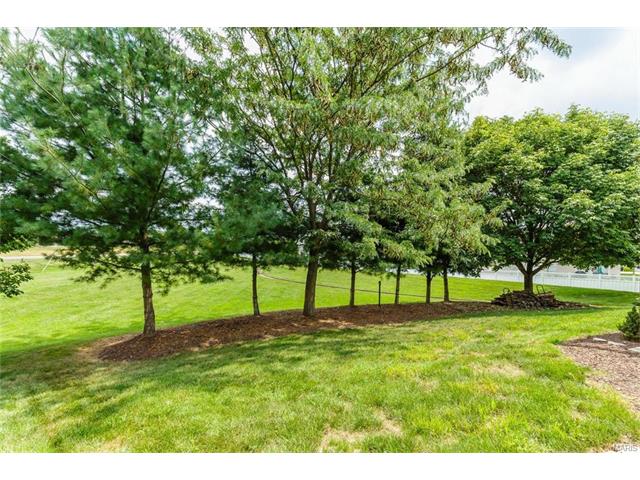 26 Highgrove Ct, O'fallon, MO 63366 photo 30