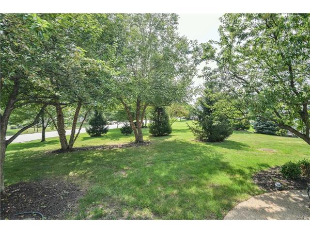 253 Greenburn Dr, Weldon Spring, MO 63304 photo 38