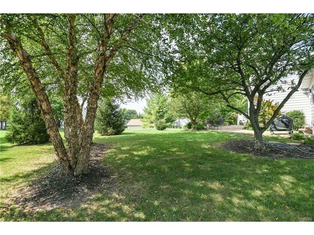 253 Greenburn Dr, Weldon Spring, MO 63304 photo 37