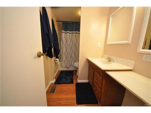 402 Down Hill Dr, Ballwin, MO 63021 photo 16
