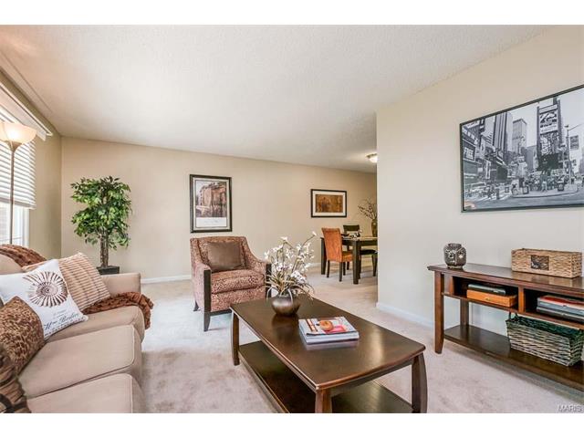 563 Windsor Mill Dr, Ballwin, MO 63011 photo 13