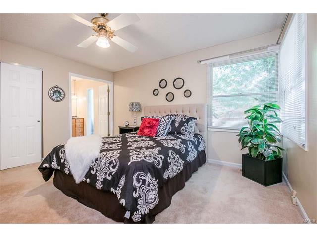 563 Windsor Mill Dr, Ballwin, MO 63011 photo 31