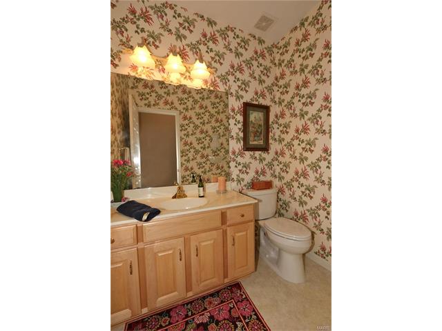 13261 Barrett Chase Cir, Ballwin, MO 63021 photo 14