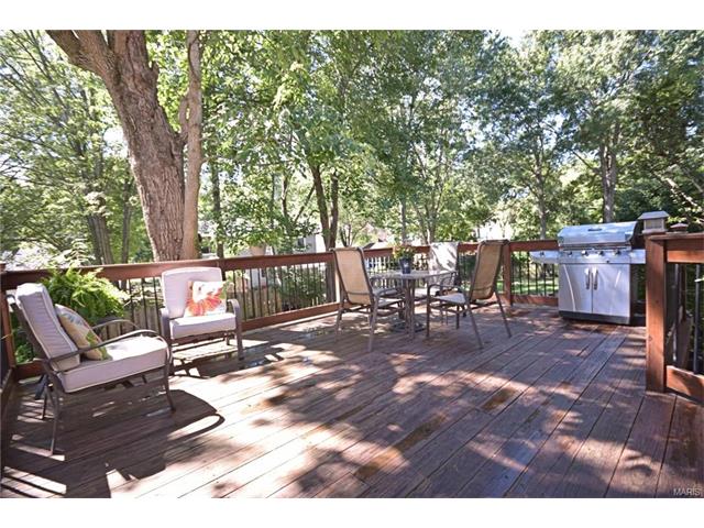 1680 Blakefield Ter, Manchester, MO 63021 photo 22
