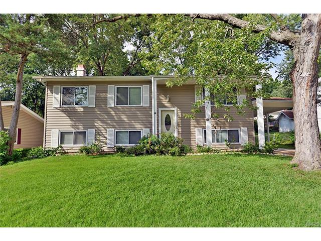 29 Saint Lawrence Dr, Ballwin, MO 63021 photo 1