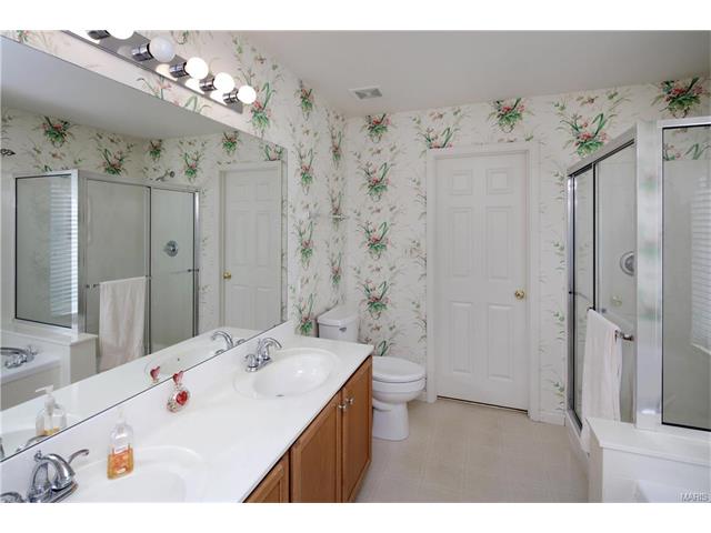 2 Saint Libory Ct, O'fallon, MO 63366 photo 11