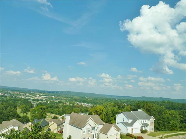 314 Palisades Ridge Ct, Eureka, MO 63025 photo 34