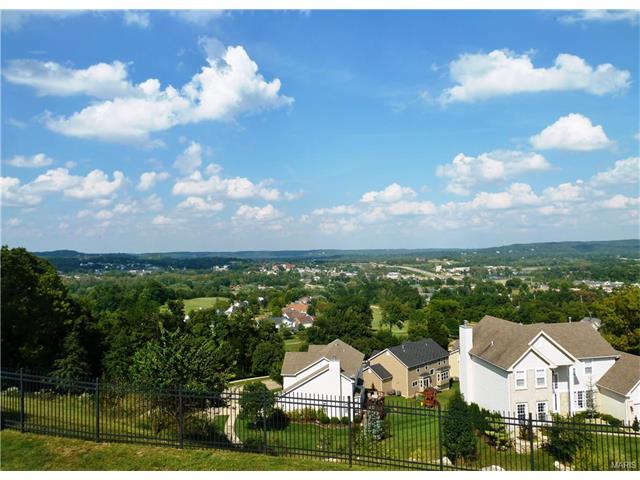314 Palisades Ridge Ct, Eureka, MO 63025 photo 4
