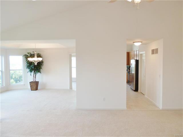 314 Palisades Ridge Ct, Eureka, MO 63025 photo 32