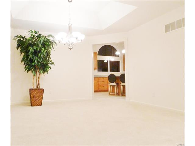 314 Palisades Ridge Ct, Eureka, MO 63025 photo 31