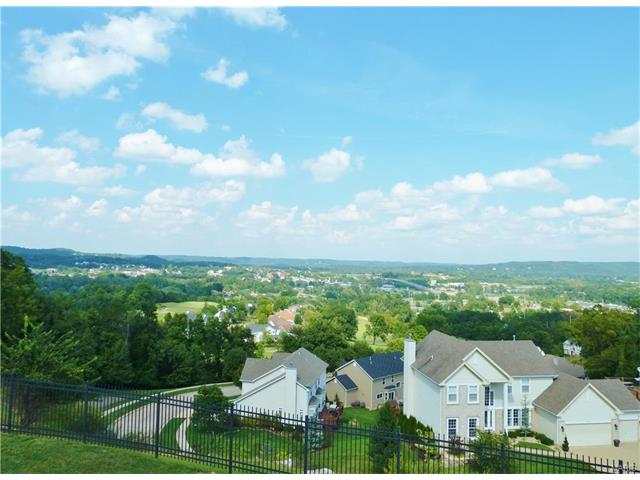314 Palisades Ridge Ct, Eureka, MO 63025 photo 37