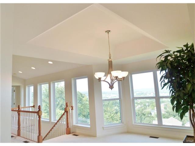 314 Palisades Ridge Ct, Eureka, MO 63025 photo 11