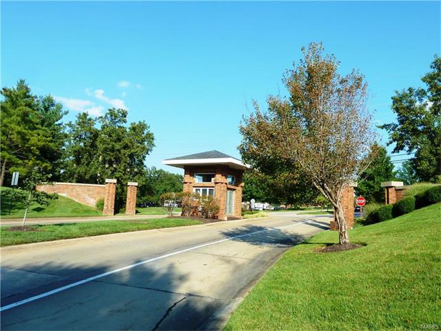 314 Palisades Ridge Ct, Eureka, MO 63025 photo 40
