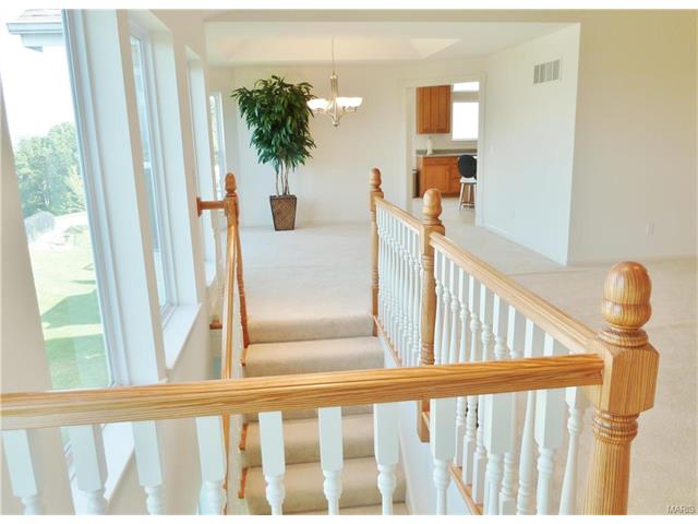 314 Palisades Ridge Ct, Eureka, MO 63025 photo 15
