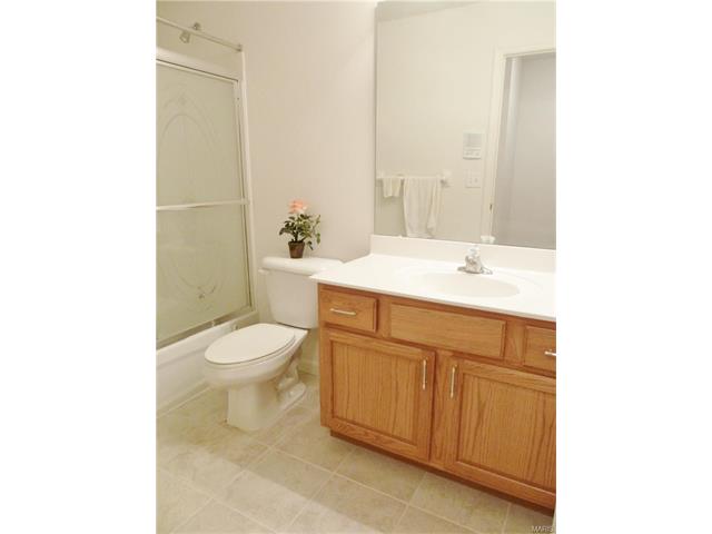 314 Palisades Ridge Ct, Eureka, MO 63025 photo 30