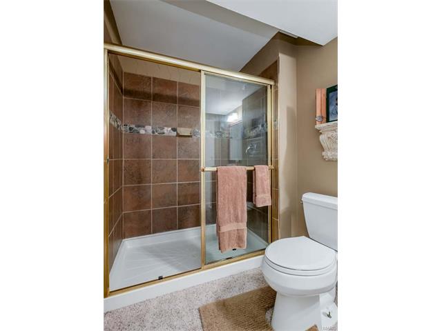 147 Timber Mdws, O'fallon, MO 63368 photo 52