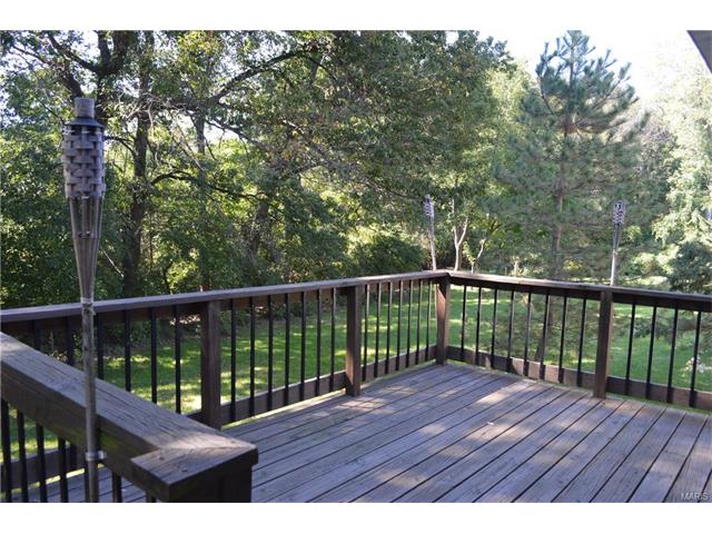 456 Madrina Ct, Ballwin, MO 63021 photo 20