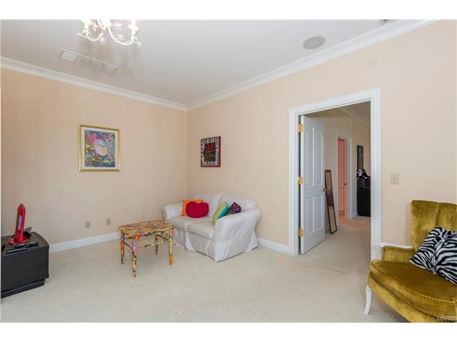 3 Upper Whitmoor, Saint Charles, MO 63304 photo 53
