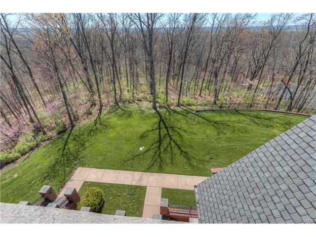 3 Upper Whitmoor, Saint Charles, MO 63304 photo 64