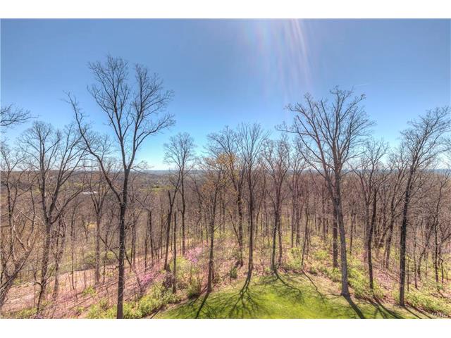 3 Upper Whitmoor, Saint Charles, MO 63304 photo 8
