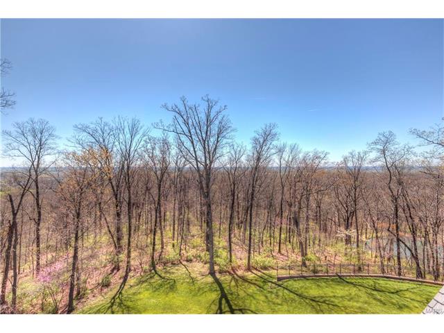 3 Upper Whitmoor, Saint Charles, MO 63304 photo 63