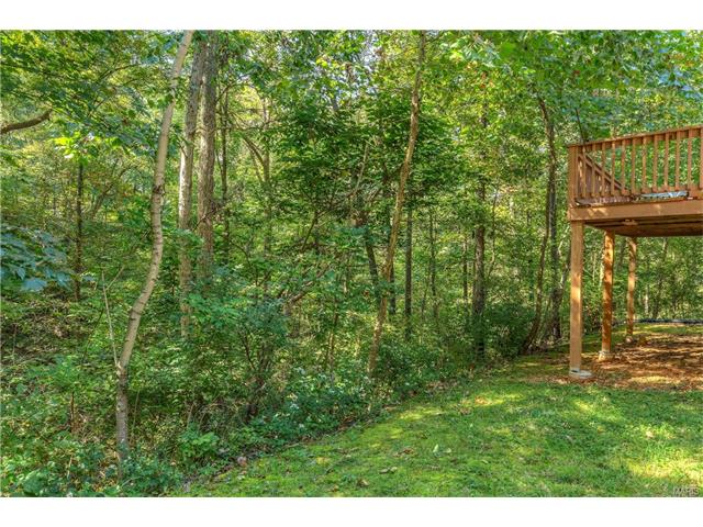 18768 Haystack Ln, Chesterfield, MO 63005 photo 28