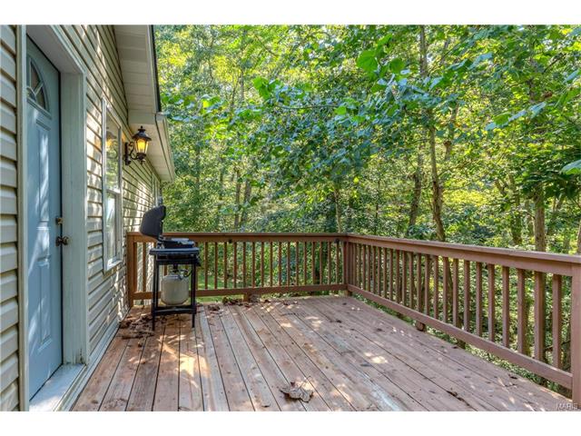 18768 Haystack Ln, Chesterfield, MO 63005 photo 23