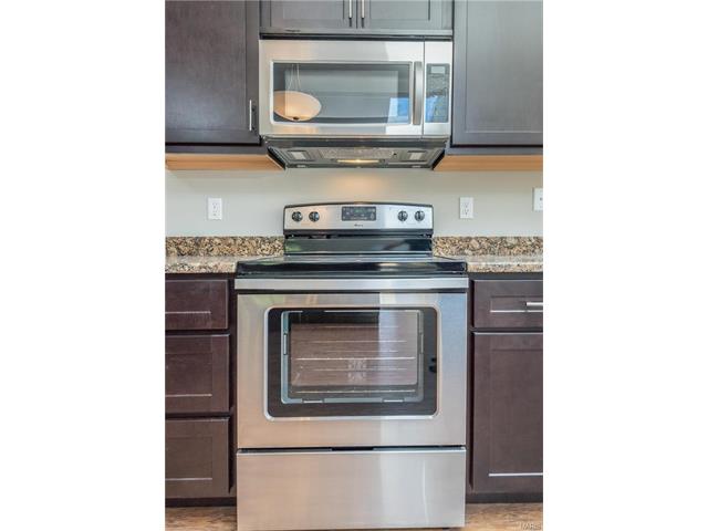 16161 Castlerea Blvd, Ellisville, MO 63021 photo 11
