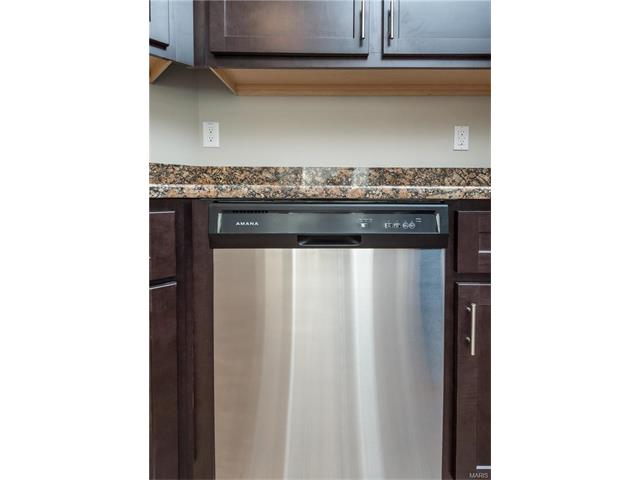 16161 Castlerea Blvd, Ellisville, MO 63021 photo 12