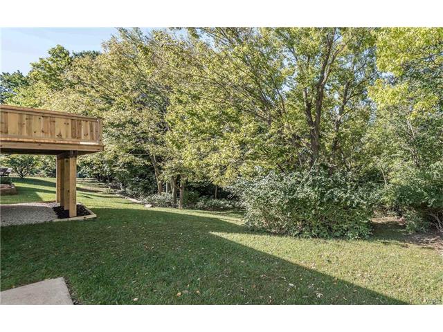 16161 Castlerea Blvd, Ellisville, MO 63021 photo 27
