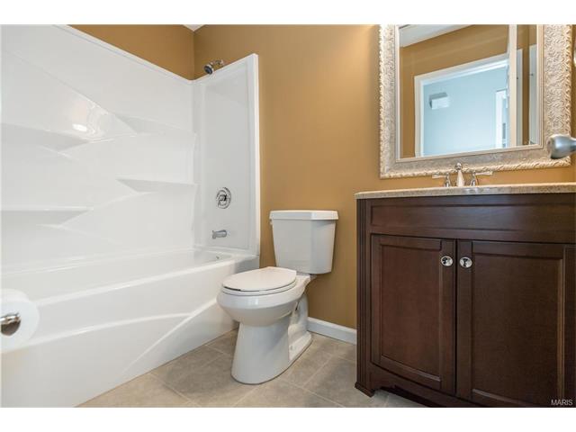 16161 Castlerea Blvd, Ellisville, MO 63021 photo 21